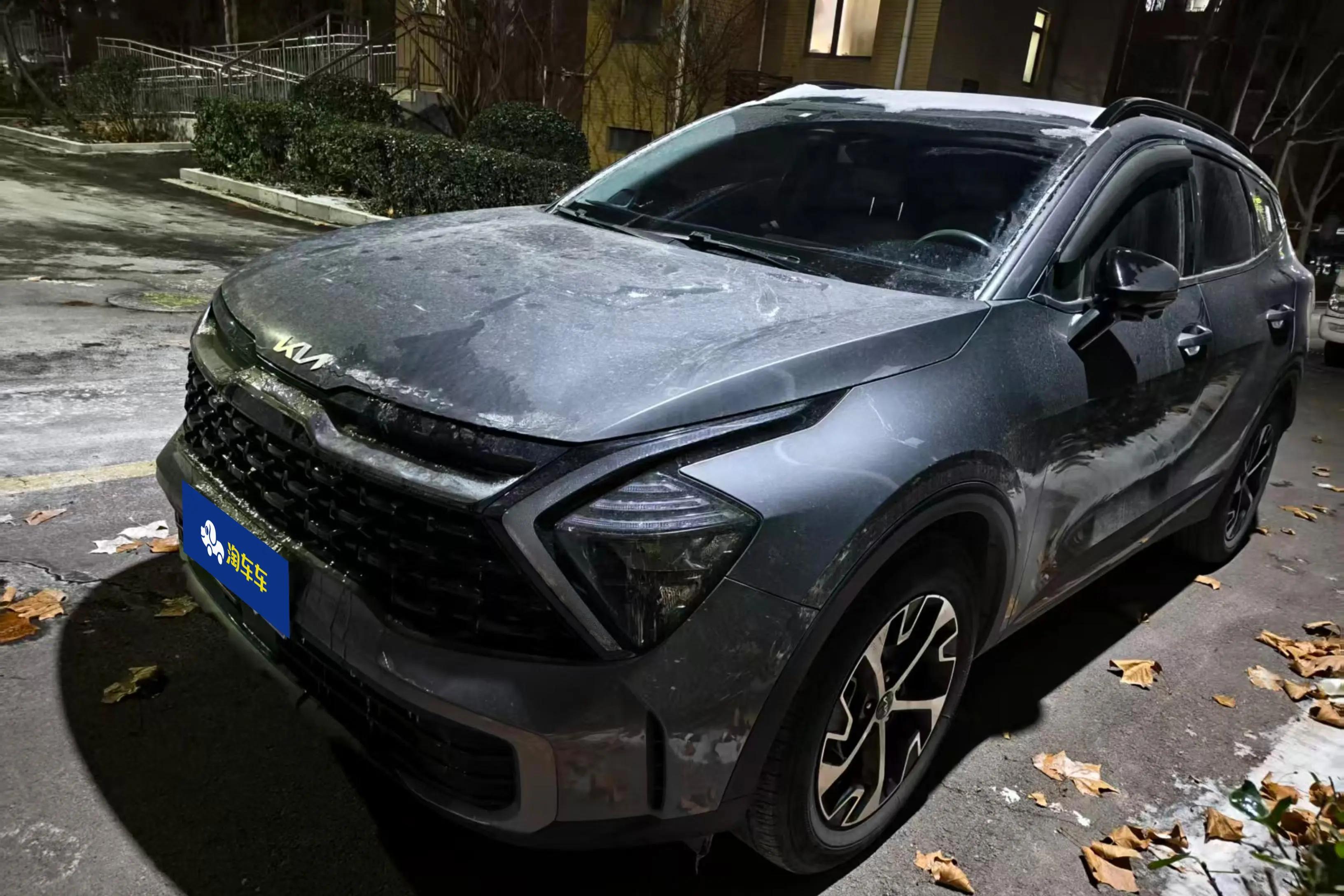 Kia Lion Platinum Expands the Boundary 2024 г. 62119 км.